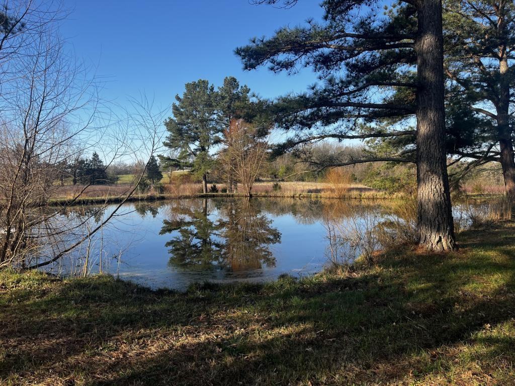 19245 Tuttle Rd - Photo 2 of 16