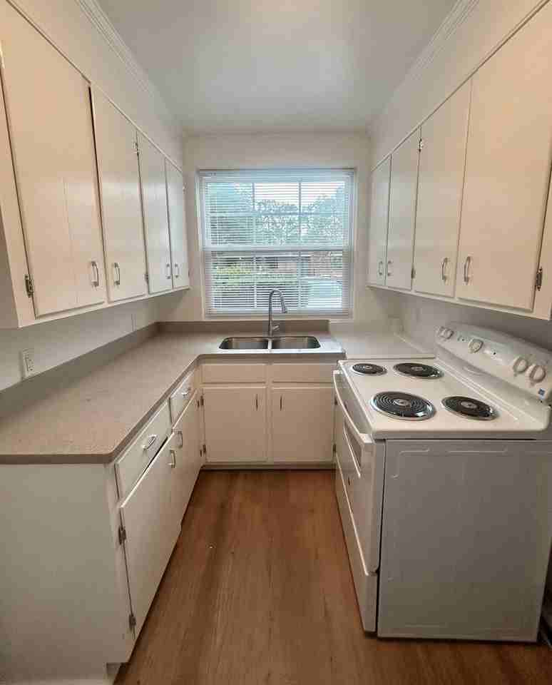 51 Columbus Dr #1 - Photo 6 of 13