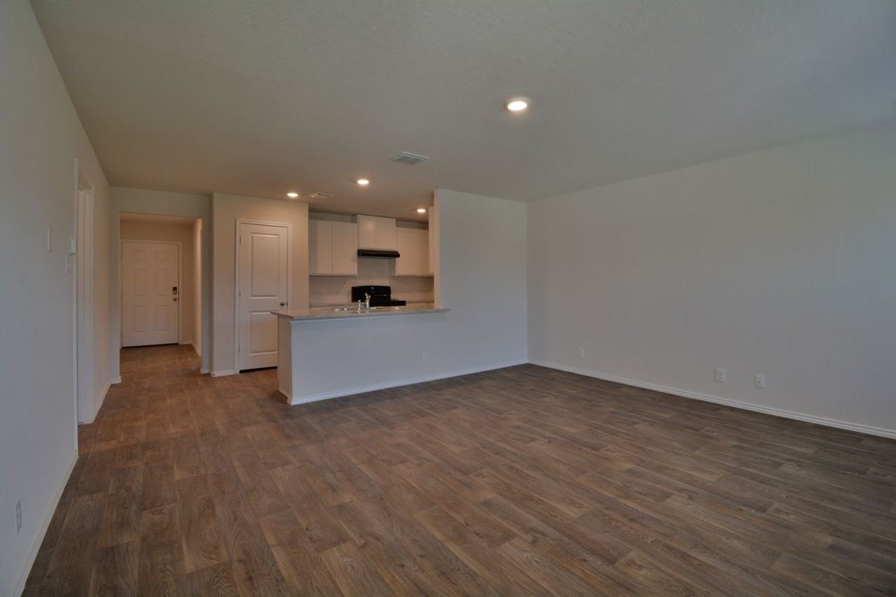 15346 Brown Violetear - Photo 2 of 16