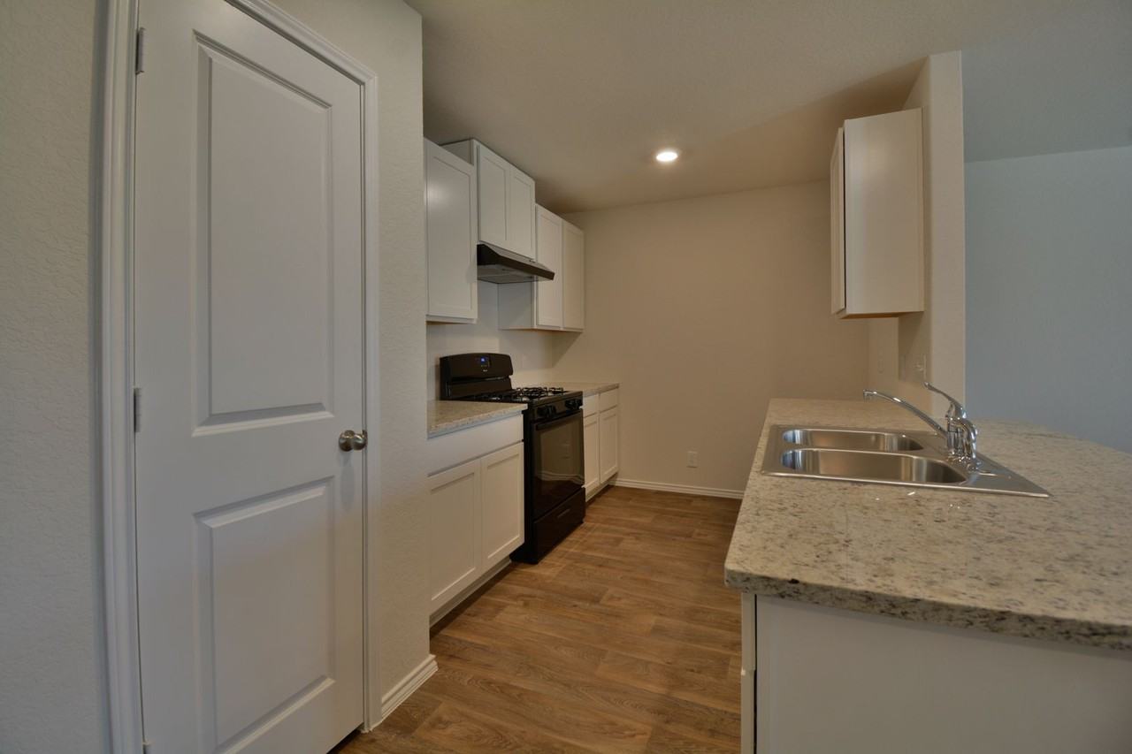 15346 Brown Violetear - Photo 5 of 16