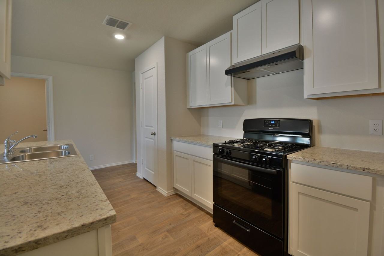 15346 Brown Violetear - Photo 6 of 16