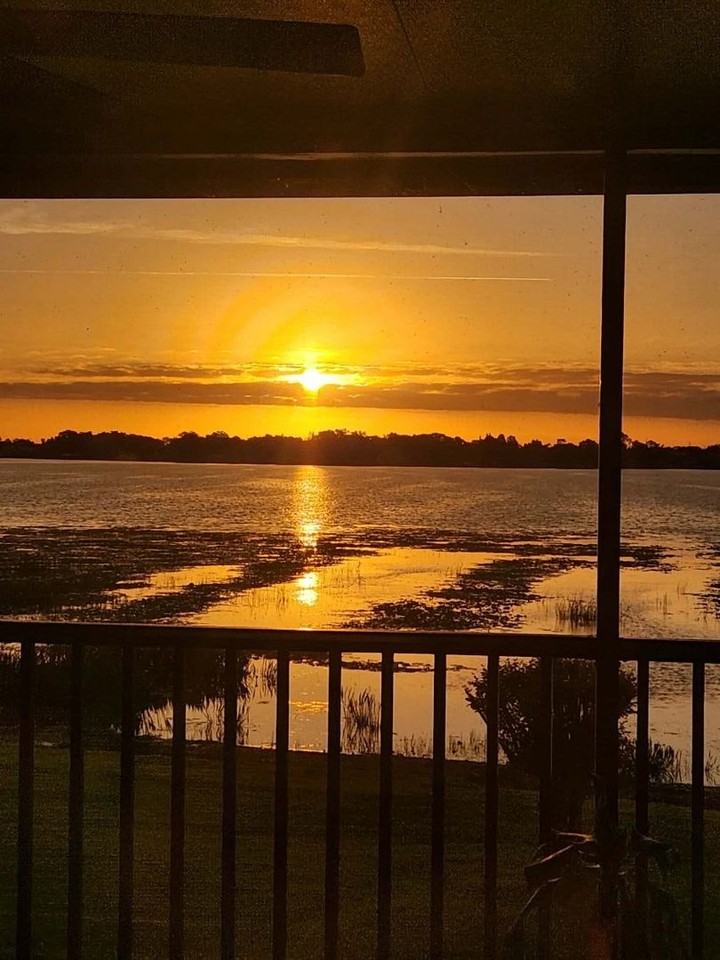 2410 Hartridge Point Dr W - Photo 3 of 50