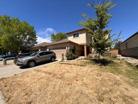 4692 Palamino Ln - Photo 1 of 1