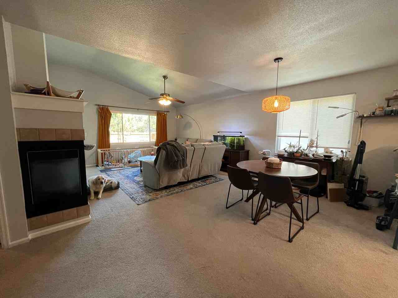 4692 Palamino Ln - Photo 7 of 17