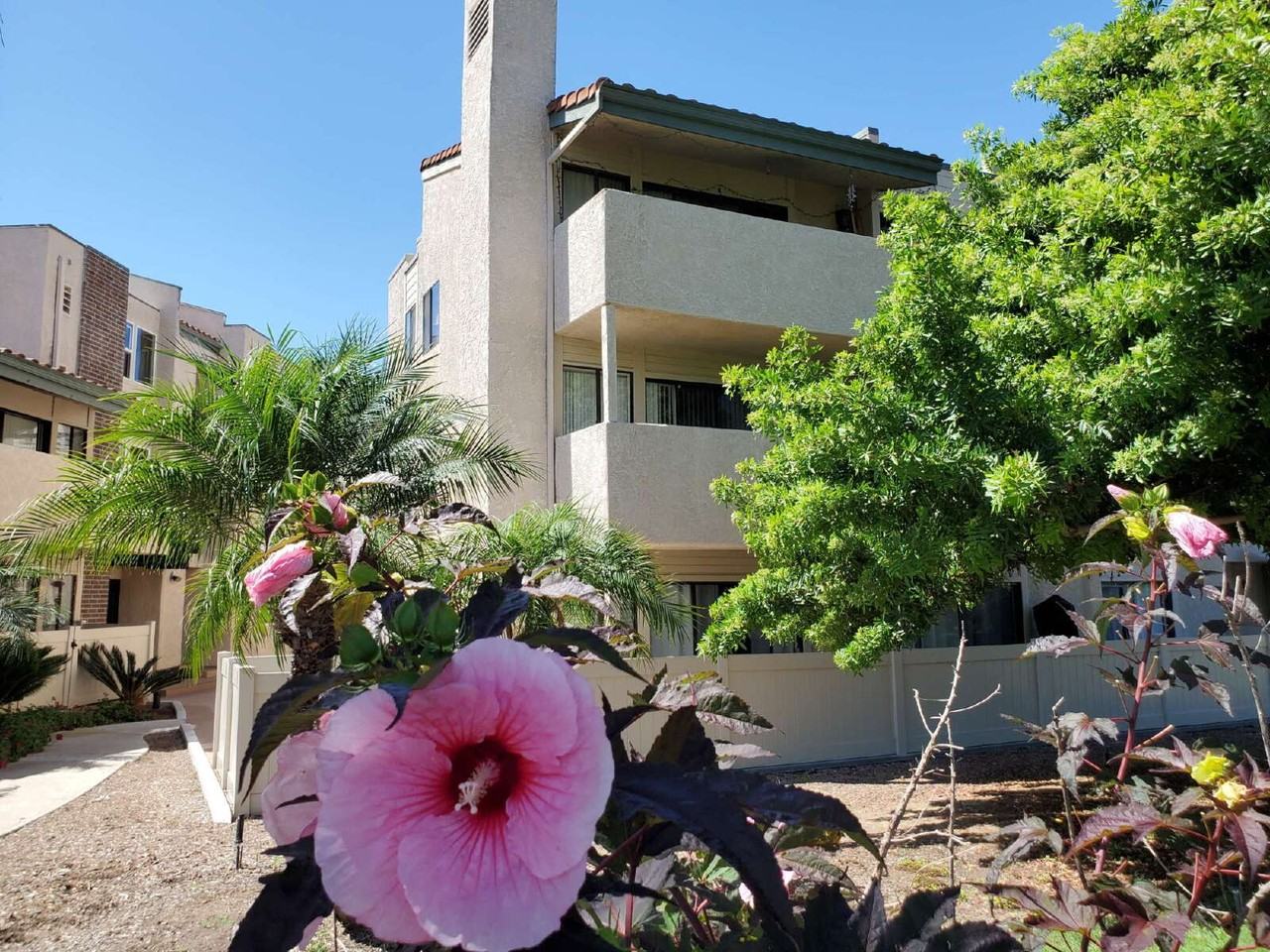 2625 Pirineos Way #323 - Photo 4 of 24