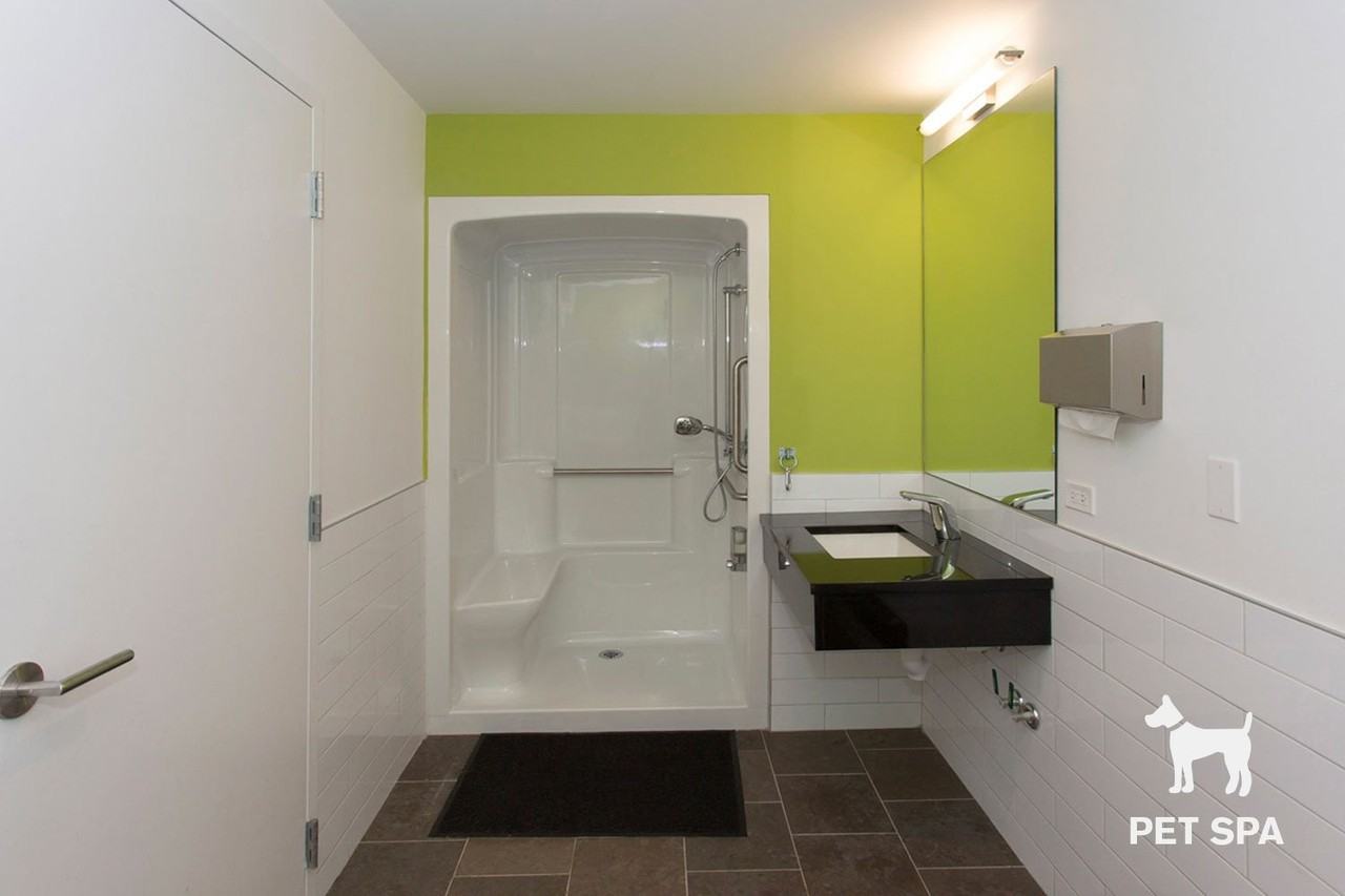 Shoreland - Photo 4 of 50