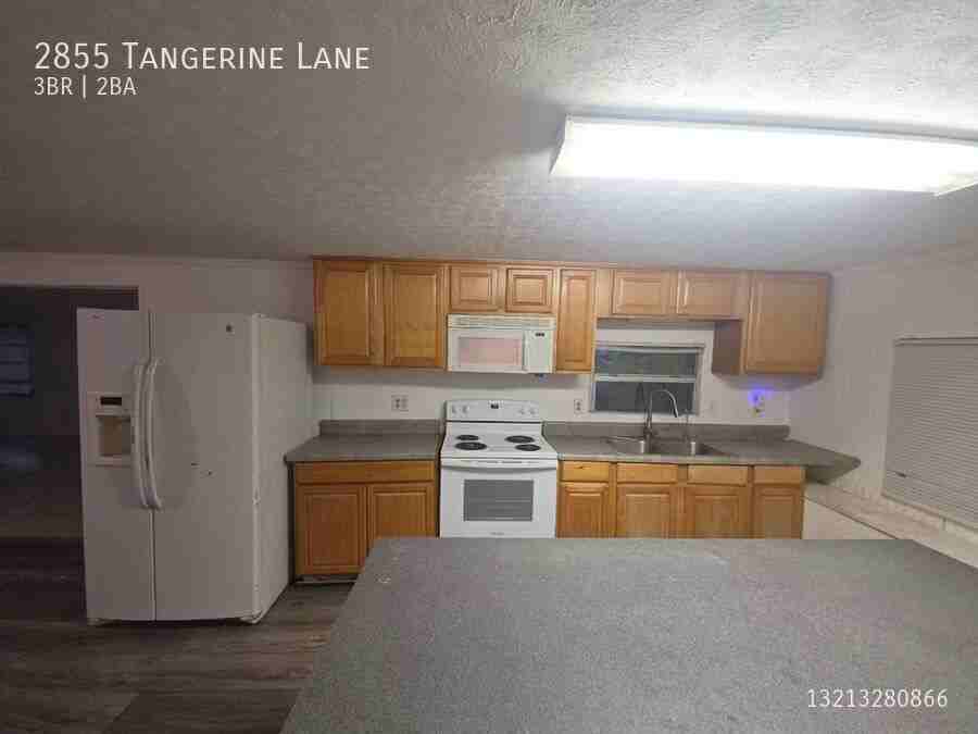 2855 Tangerine Ln - Photo 5 of 50