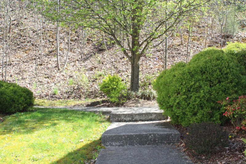 308 Car Mol Dr #12 - Photo 4 of 21