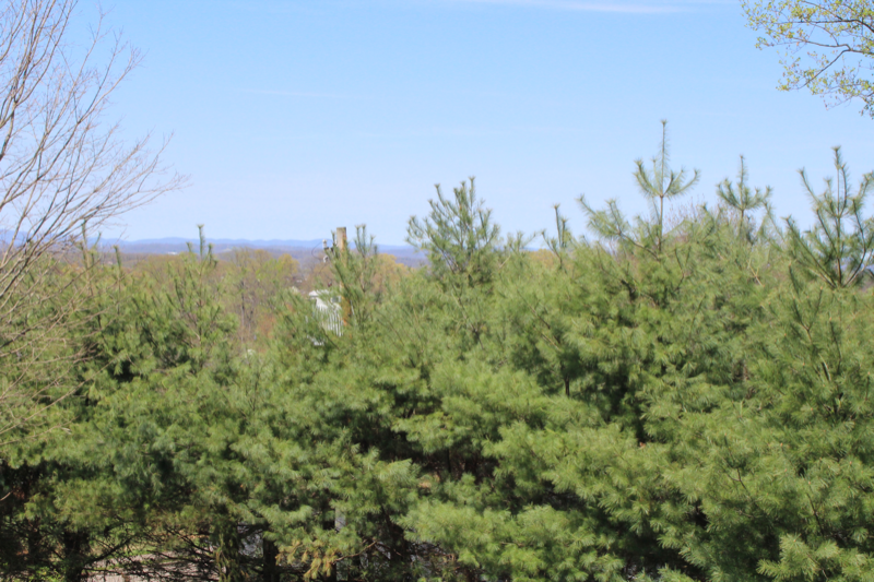 308 Car Mol Dr #12 - Photo 5 of 21