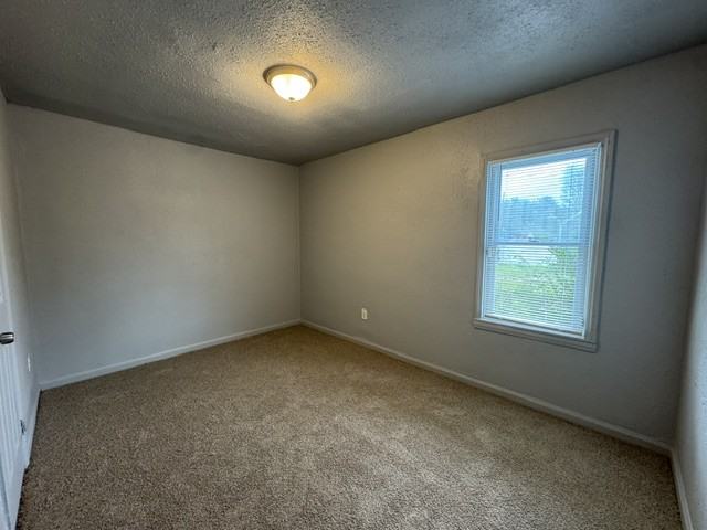 20058 Bloom St #1 - Photo 7 of 9