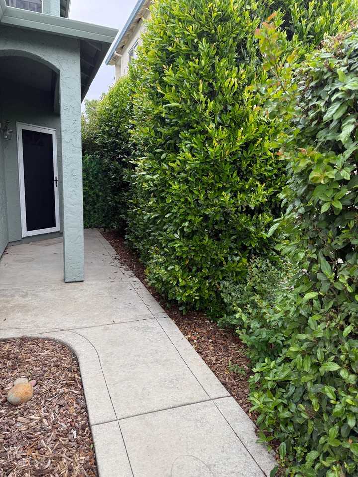 23 Morning Rose Way #1 - Photo 3 of 31