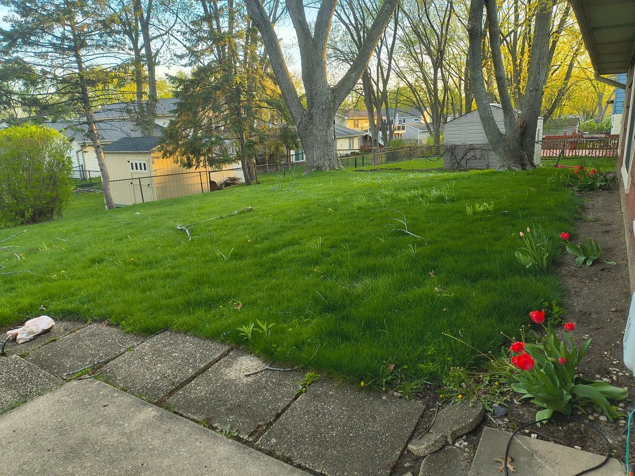 1355 Blair Ln - Photo 3 of 10