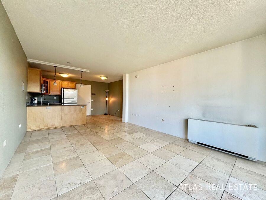 909 Logan Street Apt 9E - Photo 3 of 16