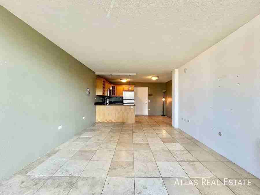 909 Logan Street Apt 9E - Photo 4 of 16