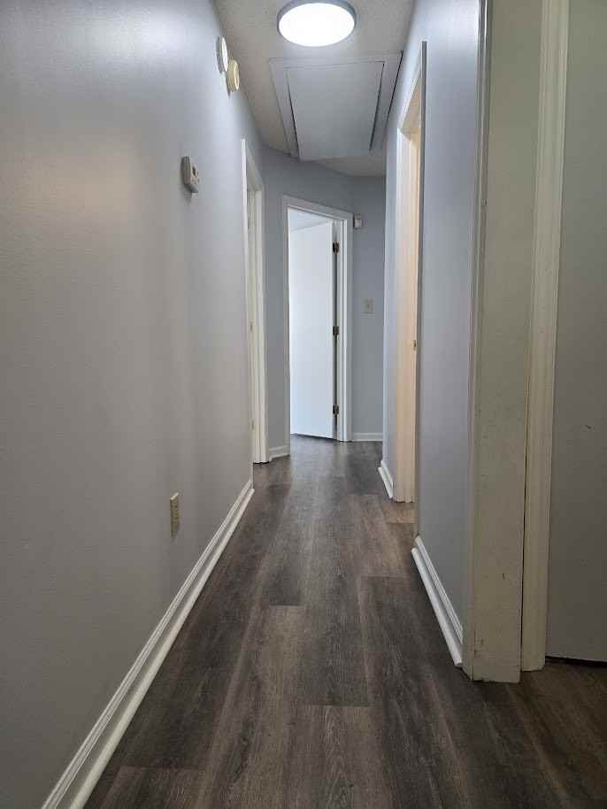 3821 Rosedown Dr #1 - Photo 7 of 12