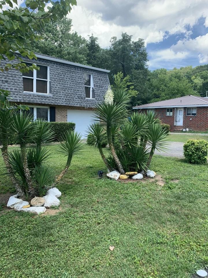 215 Baxter St - Photo 2 of 13