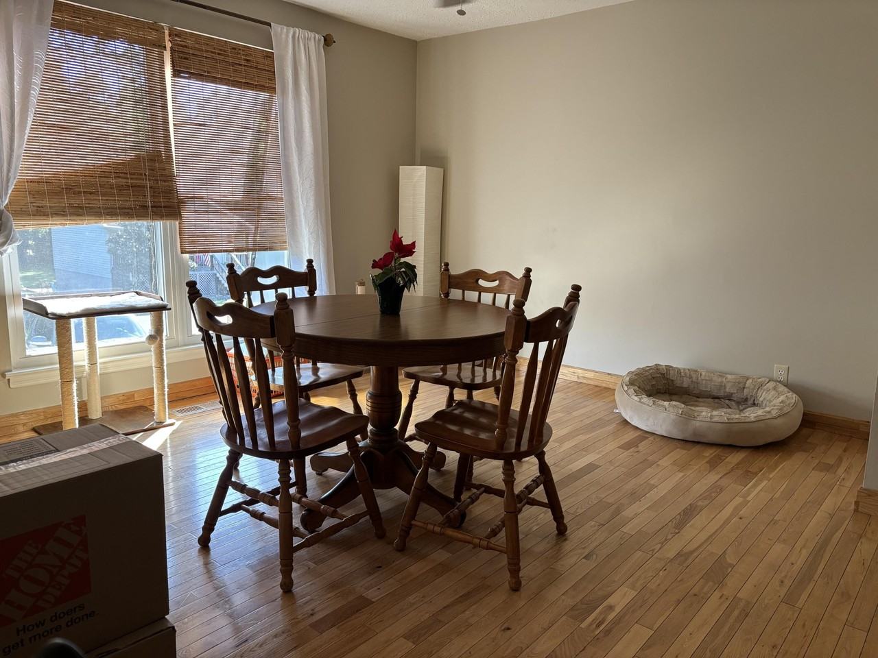 215 Baxter St - Photo 7 of 13