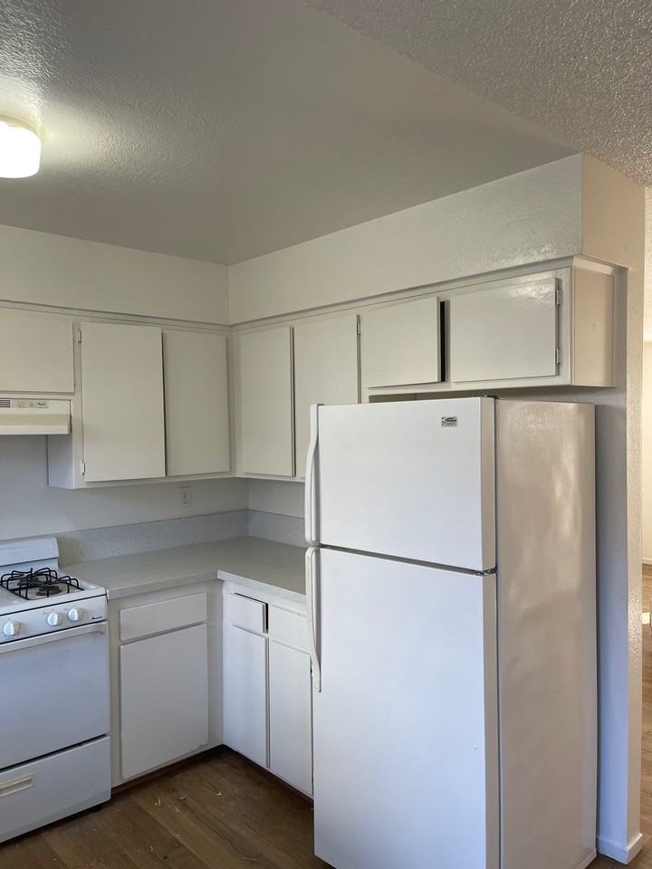 Ash 1158 - Photo 3 of 12