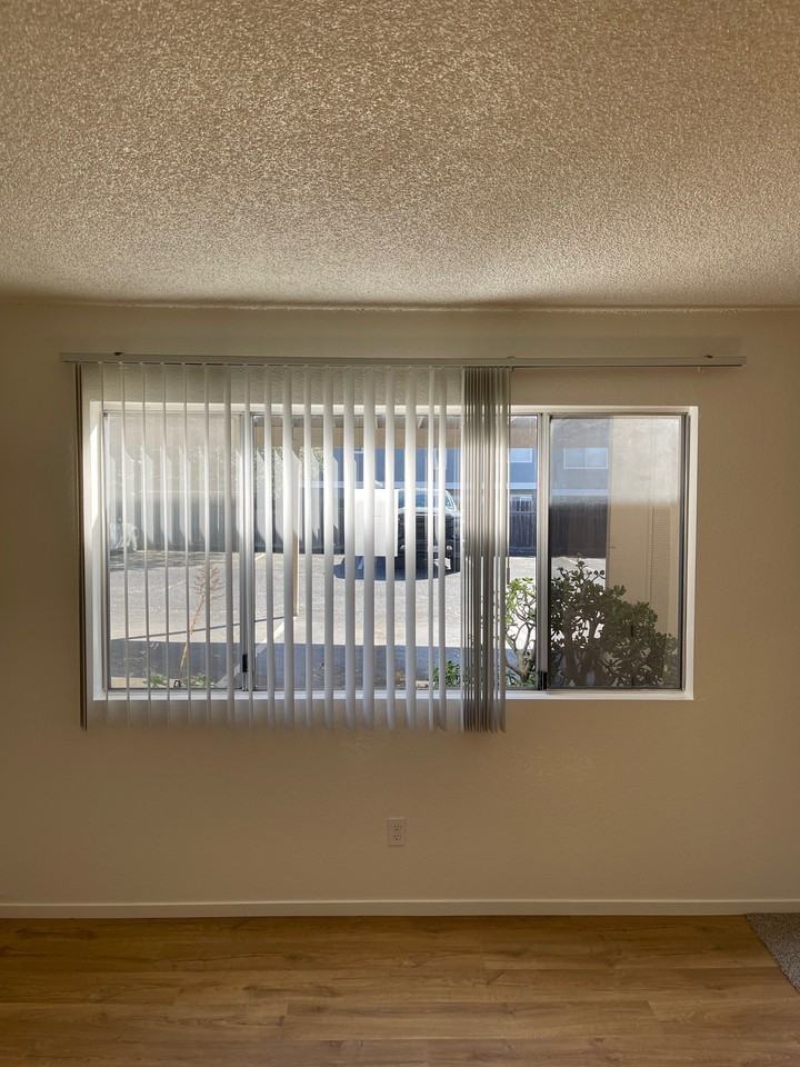 Ash 1158 - Photo 6 of 12