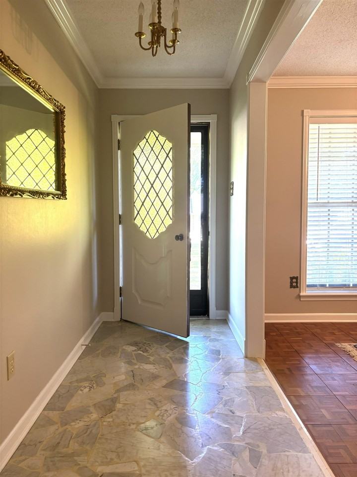 335 Alexander Cv - Photo 3 of 27