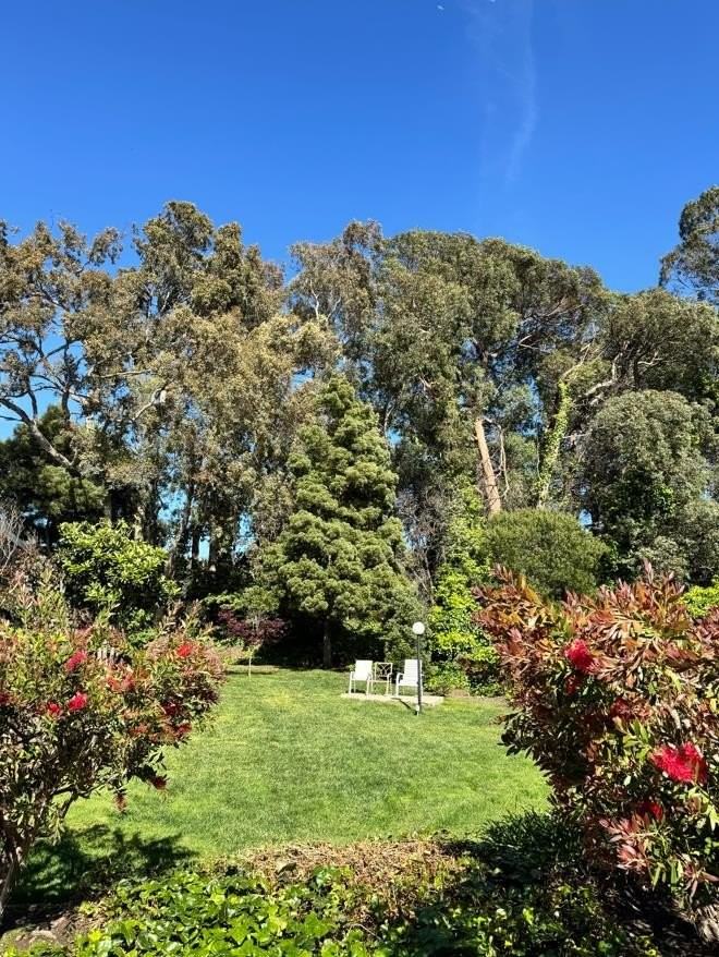 1126 Cherry Ave - Photo 5 of 5