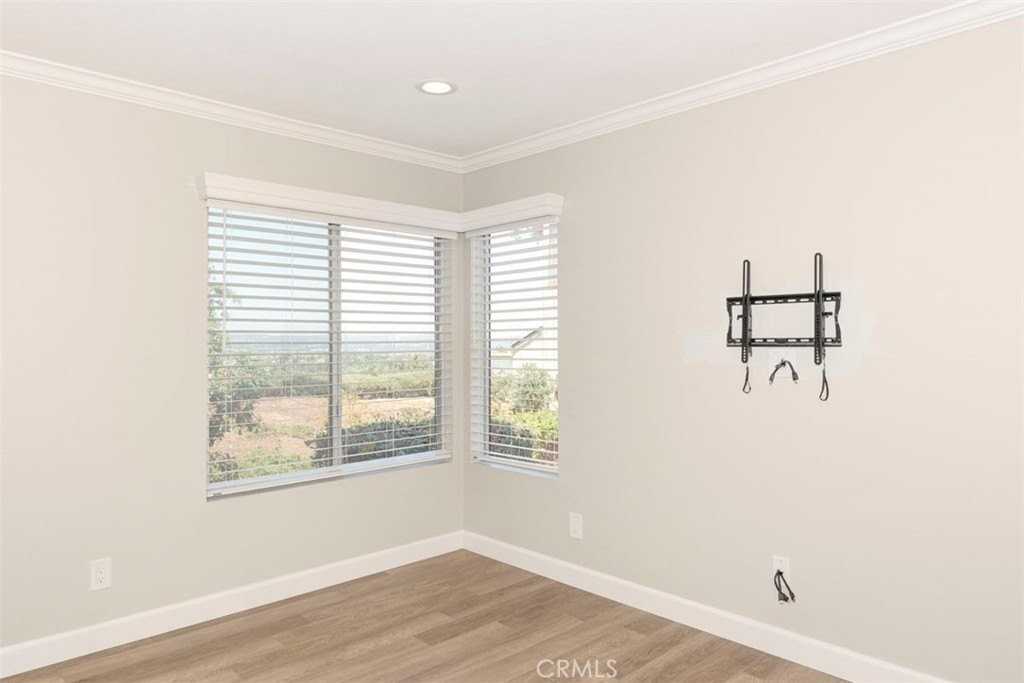 29135 Via Cerrito - Photo 7 of 23