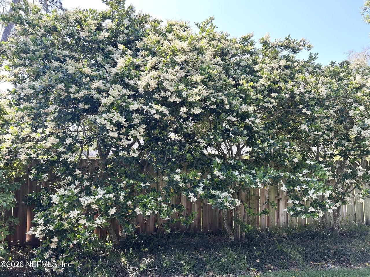 108 ABALONE Lane E - Photo 4 of 12