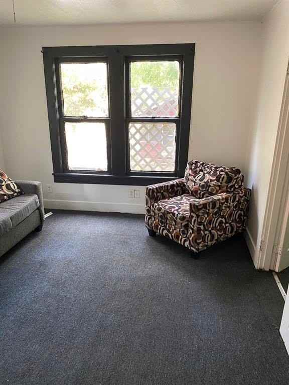 256 E 75th St - Photo 3 of 6