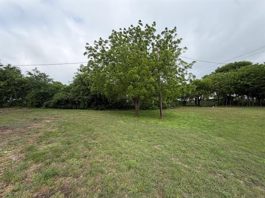 1075 Pluto Rd - Photo 3 of 19