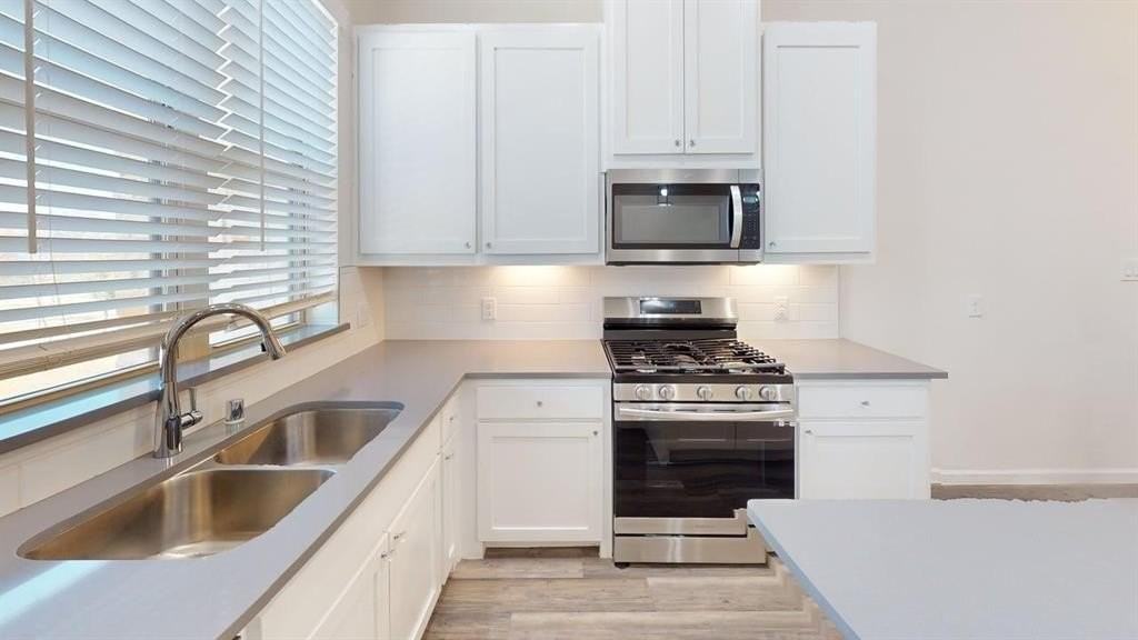 16164 Doe Lake Dr - Photo 4 of 19