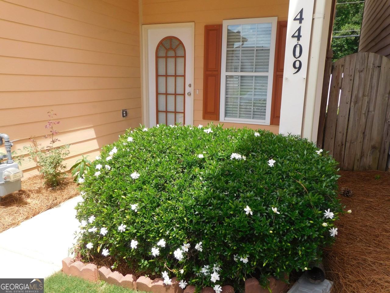 4409 Plum Frost Ct - Photo 2 of 18