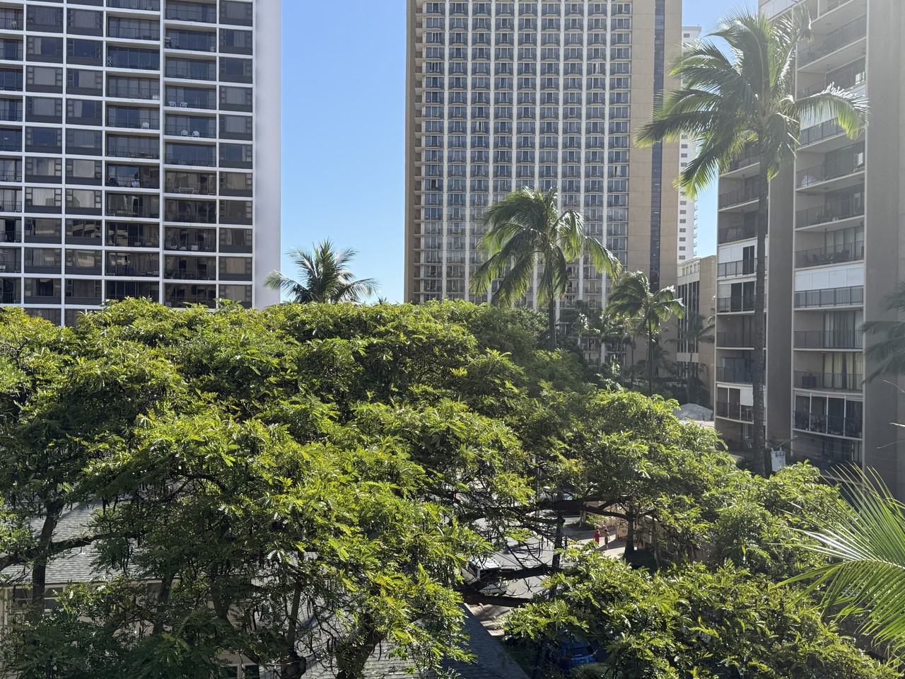 311 Ohua Ave #405 - Photo 2 of 12