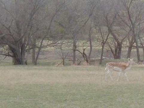 6405 Rosebud Dr #NA - Photo 4 of 19