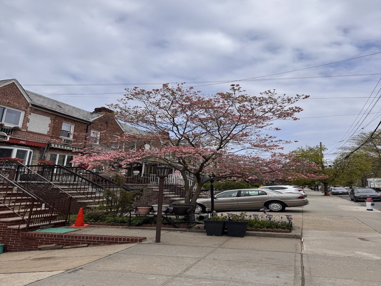 1892 Haring Street #1 - Photo 5 of 9