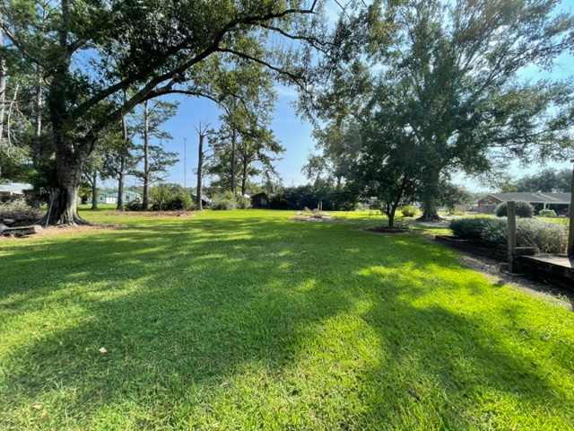 133 Dalton Ln - Photo 3 of 14