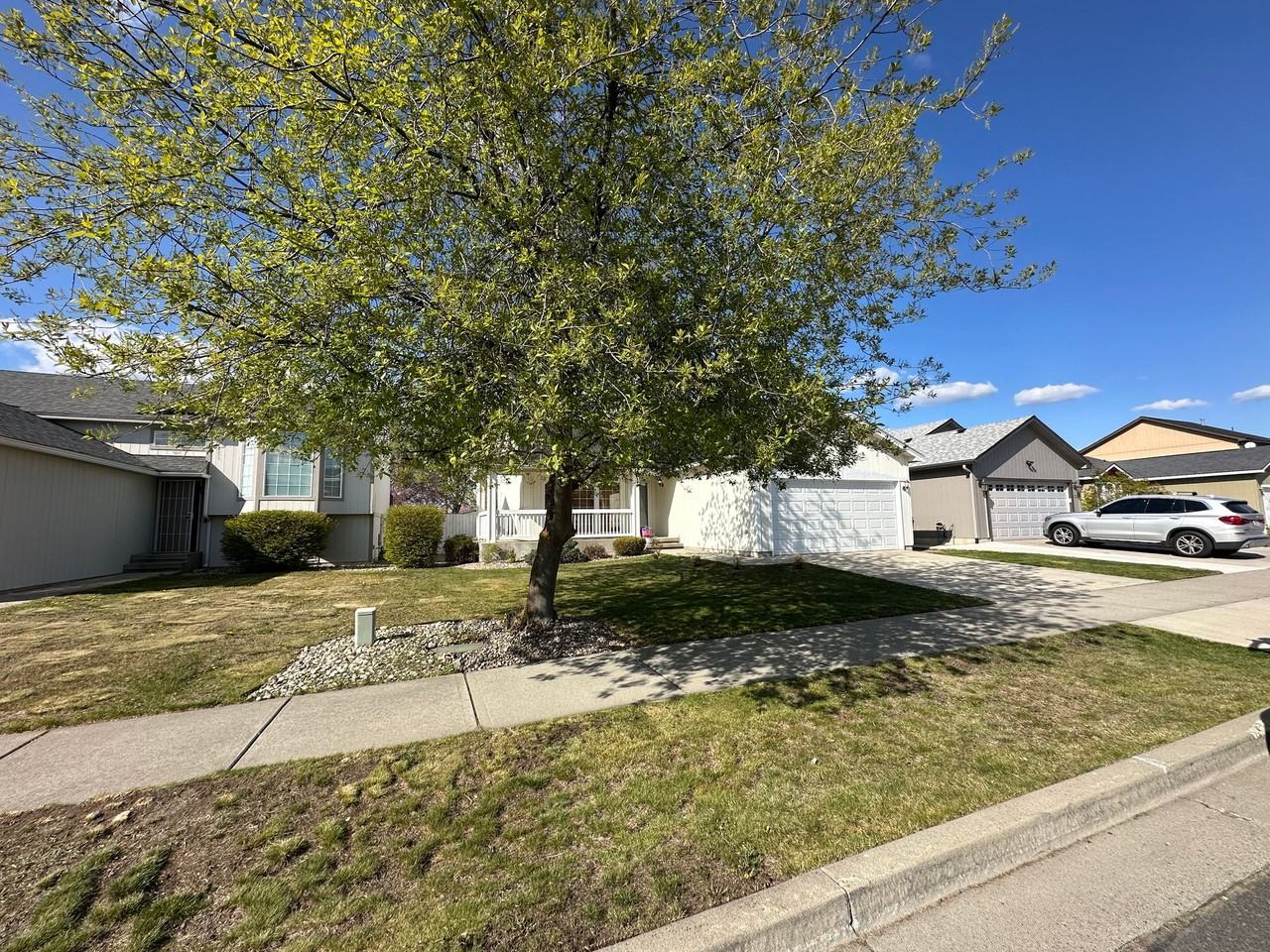 1517 E Calkins Ave - Photo 4 of 20