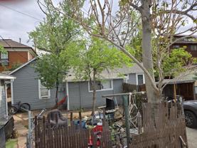 1567 9th St #4 - Photo 1 of 1