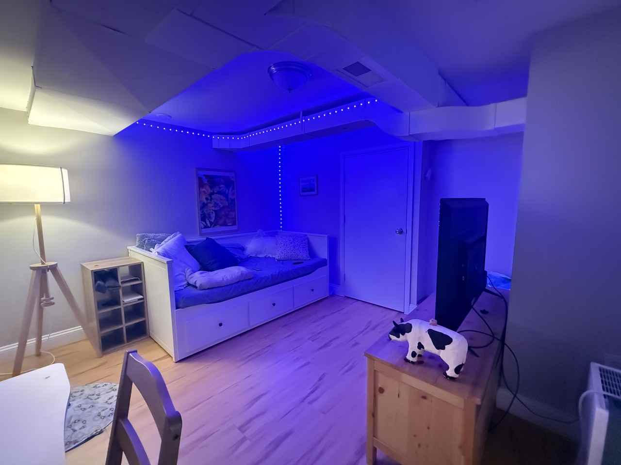 1514 Golden Avenue - Photo 5 of 22