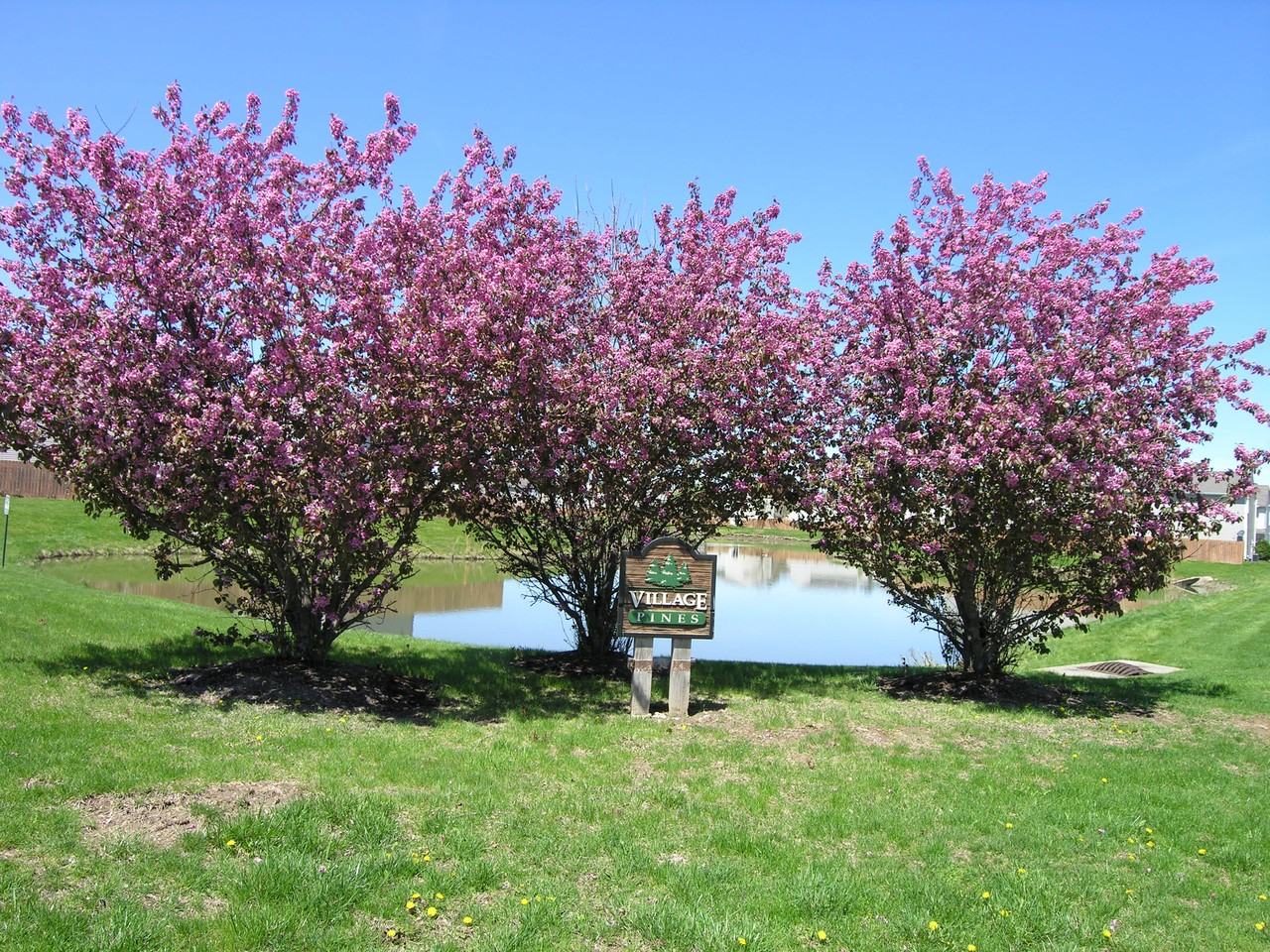 2373 Grand Fir Dr #NA - Photo 2 of 18