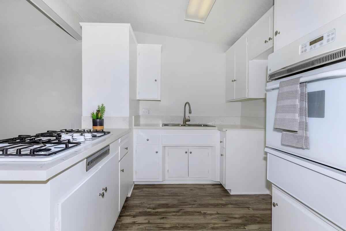 337 Calle Miramar - Photo 4 of 25