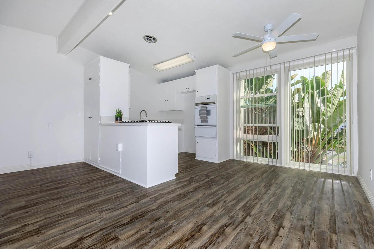 337 Calle Miramar - Photo 7 of 25