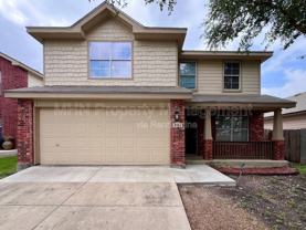 8734 Snow Goose - Photo 1 of 1