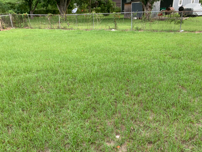 409 Louis Ave - Photo 3 of 12