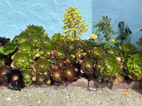 1578 43rd Ave #B - Photo 1 of 1