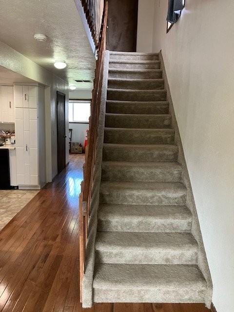 1617 Salvia St #3 - Photo 4 of 15