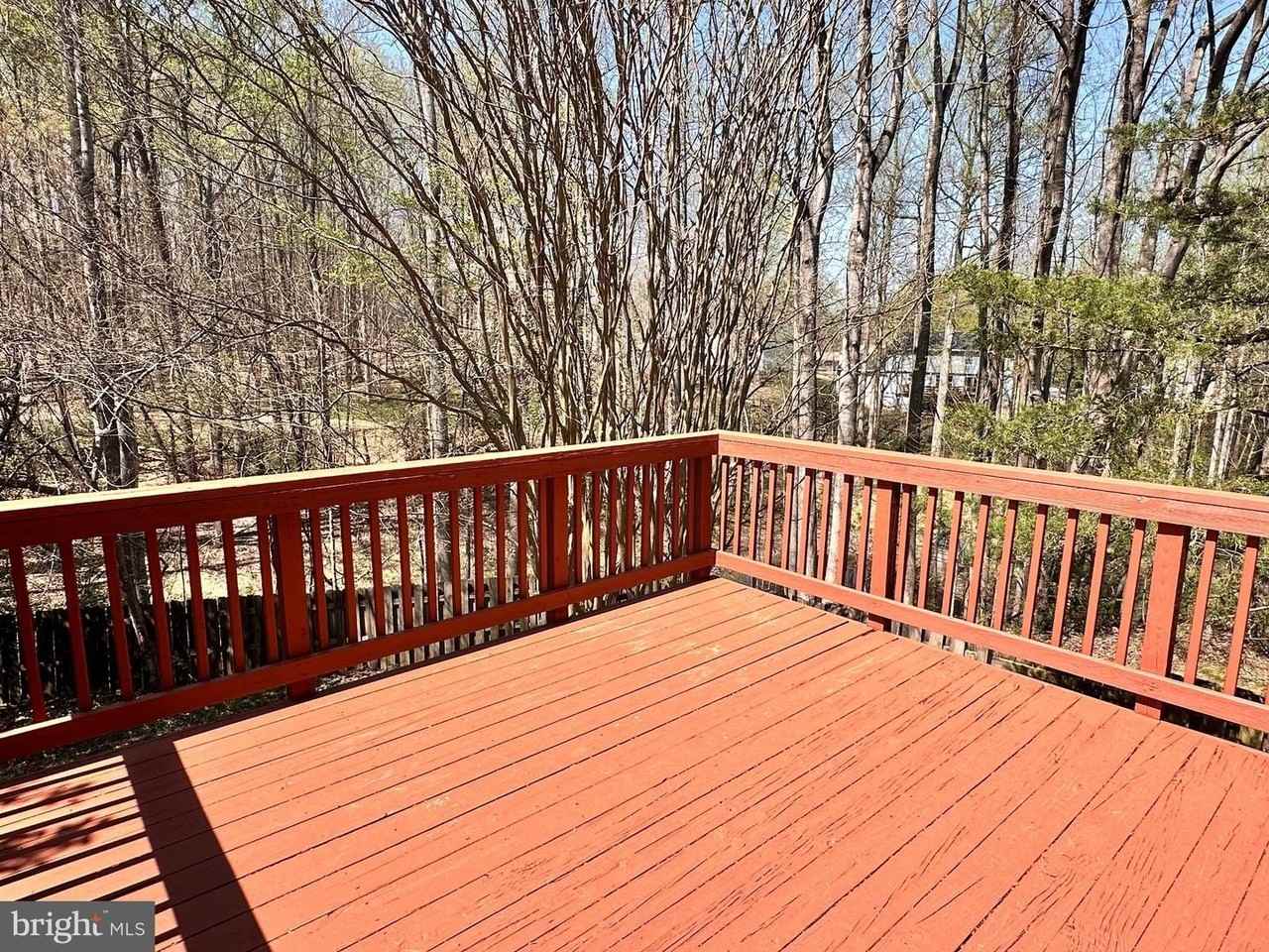 7914 Forest Path Way - Photo 3 of 19