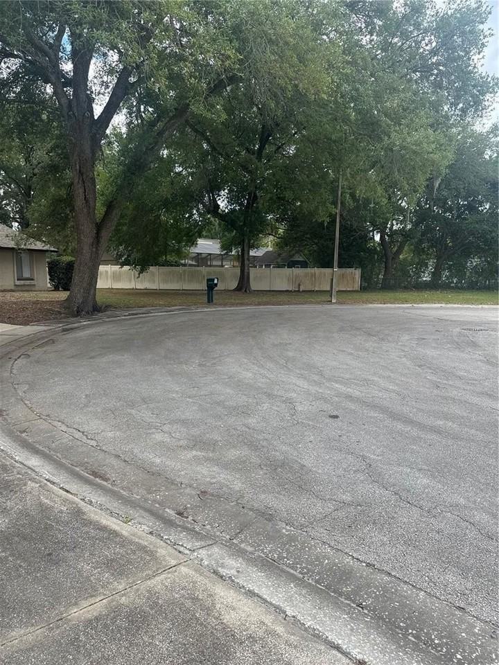 2329 Pine Tree Ct - Photo 3 of 38