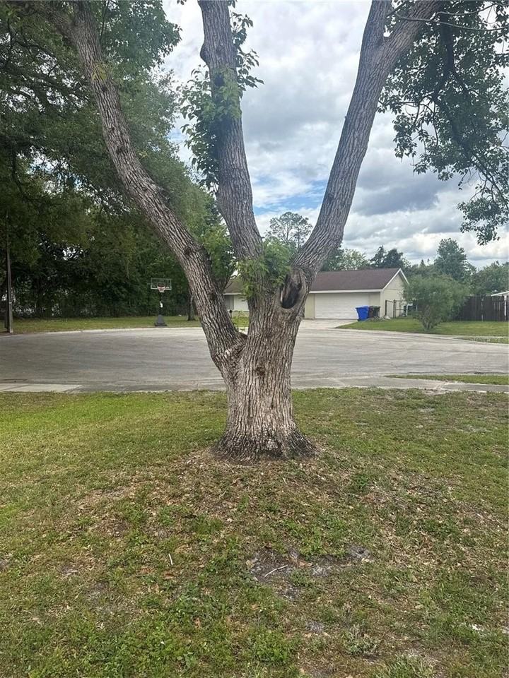2329 Pine Tree Ct - Photo 4 of 38