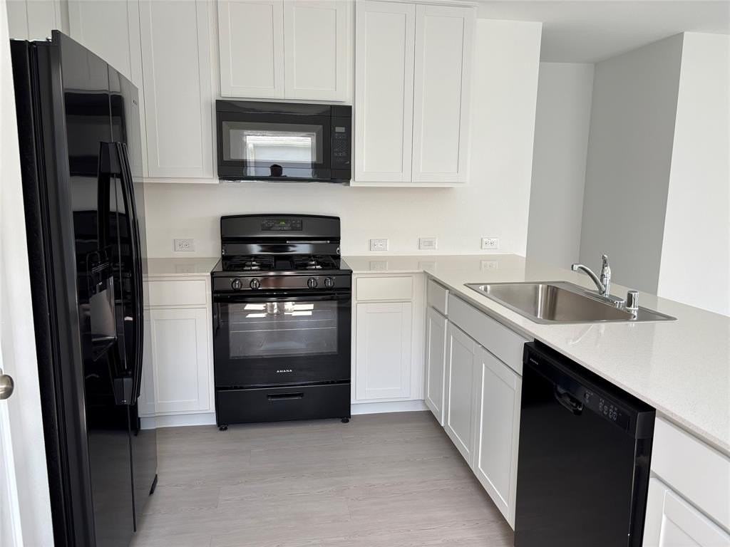 3004 Burmese St - Photo 4 of 27