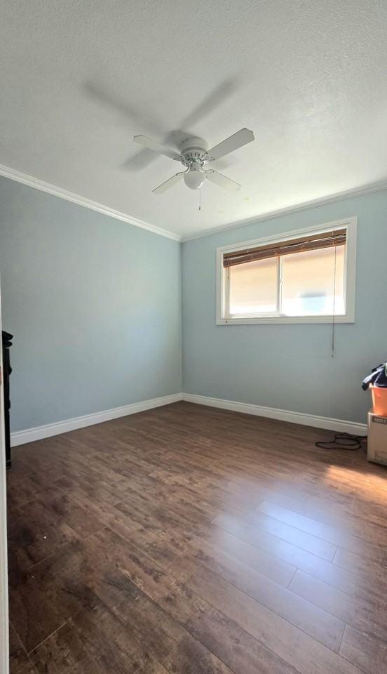 5509 184a St Nw - Photo 5 of 10